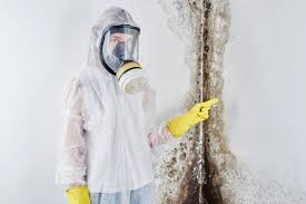 East Prairie, MO Mold Removal Services Company